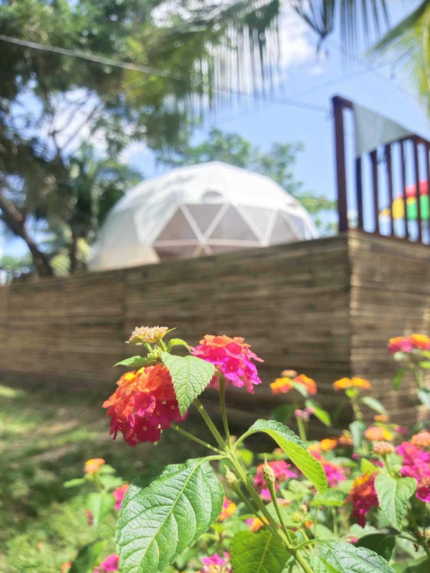 Eco Glamping Treehouses Closest Resort To All Tourist Attractions Balilihan Exterior photo